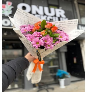 Pembe Papatya Turunca Çardak Gül